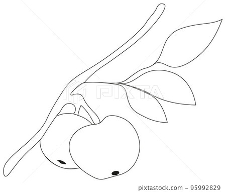 Apple outline Apple outline 95992829