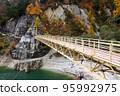 Mountains turning red in autumn and suspension bridge over Kurobe Dam 95992975