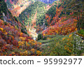 Alps mountains with red leaves in autumn 95992977