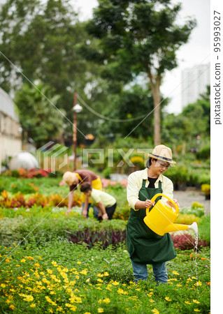 Woman watering flowers in plant nursery when her husband and son checking plants in background Woman watering flowers in plant nursery when her husband and son checking plants in background 95993027