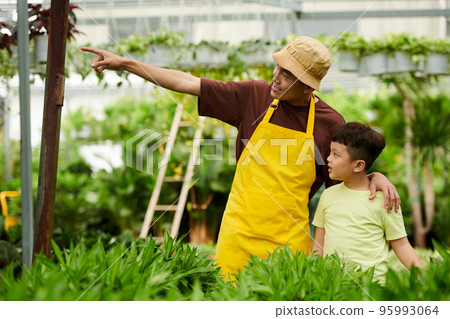 Smiling father showing little son plants and flowers in greenhouse 95993064