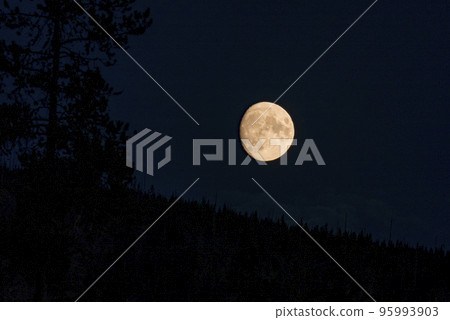 View of beautiful moon shining over silhouette landscape. Picturesque scenery at famous Yellowstone National park in night. Concept of idyllic nature and astronomy. 95993903