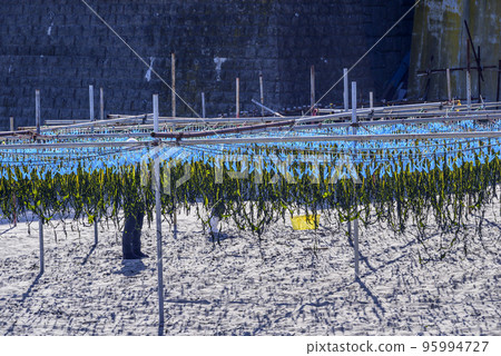 Seaweed dried scenery of Enoshima Seaweed dried scenery of Enoshima 95994727
