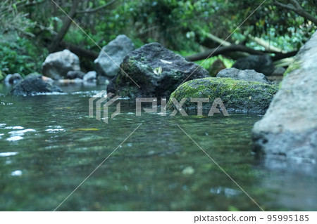 乾淨的河流和綠色的苔蘚 乾淨的河流和綠色的苔蘚 95995185