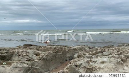 a seagull stands on a rock in the sea and a seagull stands on a rock in the sea and 95995581