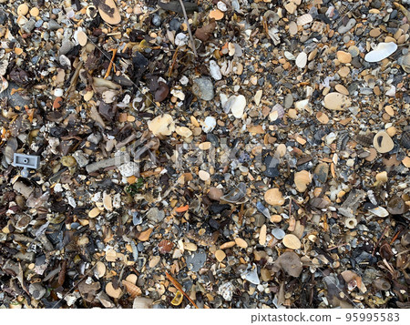 garbage after the surf on the seashore 95995583