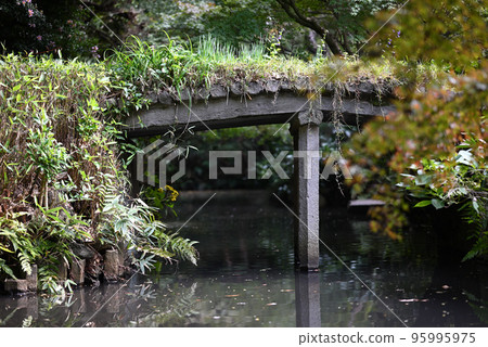池塘上的石橋 95995975