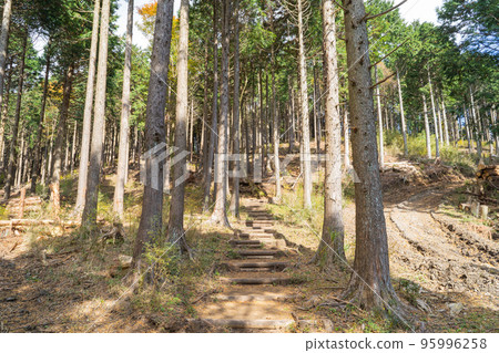 Hiryu no Taki瀑布和通往Yusakaji(箱根)的小徑 Hiryu no Taki瀑布和通往Yusakaji(箱根)的小徑 95996258