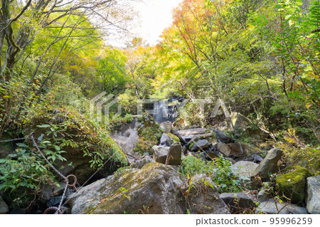 飛龍瀑布(箱根) 飛龍瀑布(箱根) 95996259