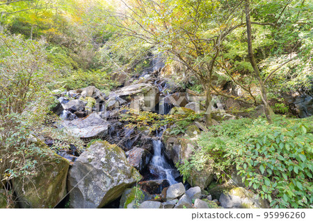 飛龍瀑布（箱根） 95996260