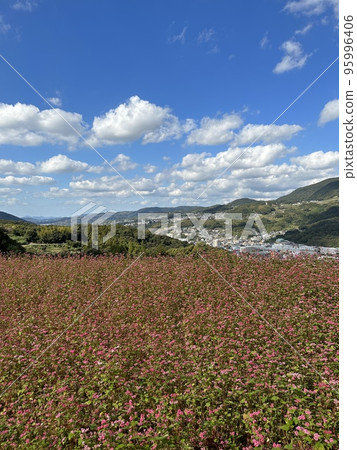 Red soba Red soba 95996406