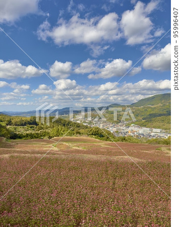 Red soba Red soba 95996407