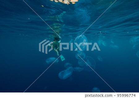 小笠原 與月亮水母一起游泳的女人 小笠原 與月亮水母一起游泳的女人 95996774