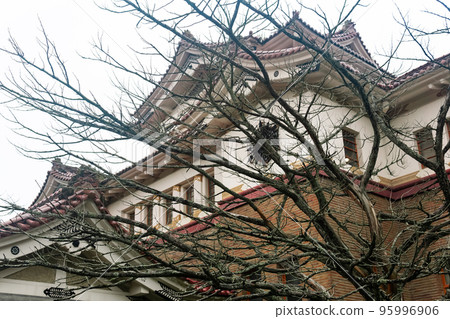 dry tree on the background of the building of the Sakhalin Regional Museum of Local Lore in Yuzhno-Sakhalinsk, Russia 95996906