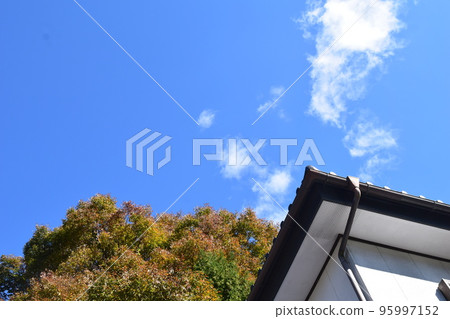 天空和藍色 95997152