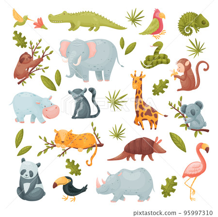Tropical Animals from South Africa with Green Leaf and Foliage Big Vector Set Tropical Animals from South Africa with Green Leaf and Foliage Big Vector Set 95997310
