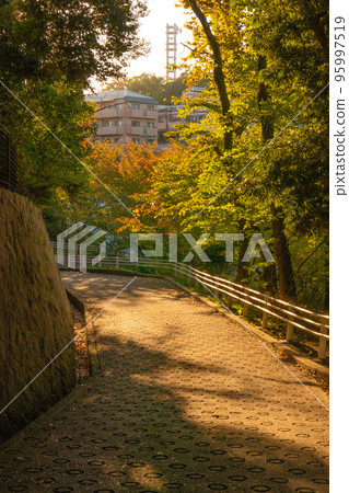 Scenery that feels autumn Scenery that feels autumn 95997519