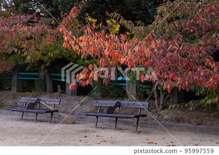 Scenery that feels autumn Scenery that feels autumn 95997559