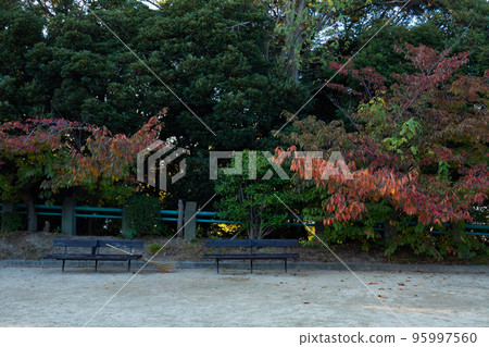 Scenery that feels autumn Scenery that feels autumn 95997560