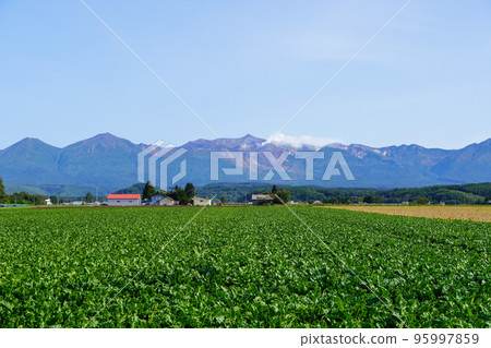 Tokachidake mountain range seen from a certain point in Biei 95997859