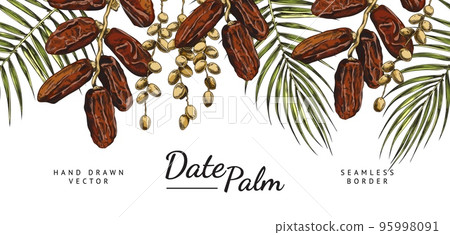 Date palm seamless border, hand drawn sketch vector illustration on white background. Date palm seamless border, hand drawn sketch vector illustration on white background. 95998091