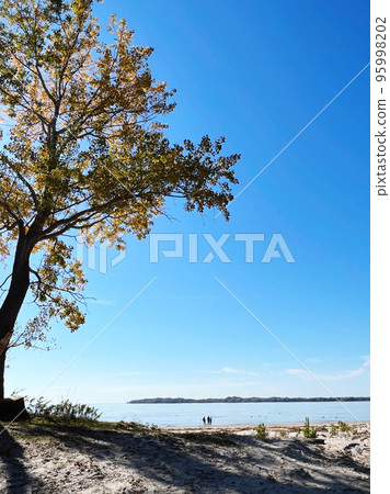 great lake sandy beach great lake sandy beach 95998202