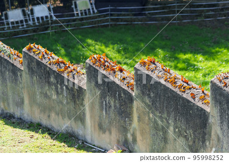 Security fence wall with dangerous sharp broken bottle glass on a farm 95998252