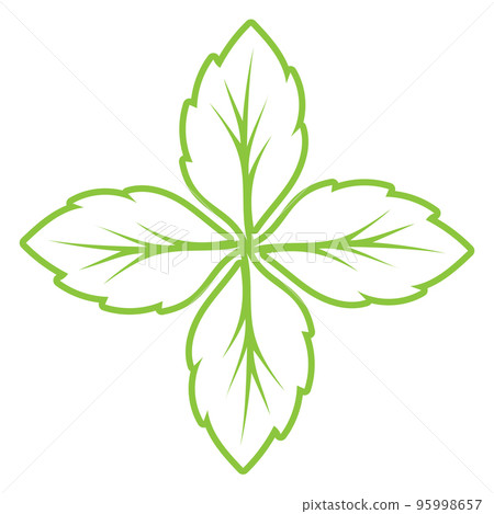 Leaf green ornament design and symbol vector template 95998657