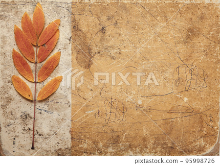 Brown designed grunge background with leaves. Vintage abstract texture Brown designed grunge background with leaves. Vintage abstract texture 95998726