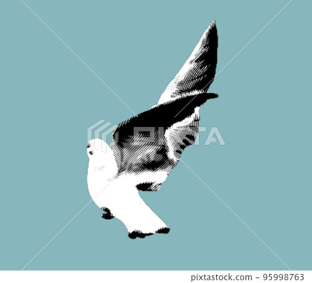 Engraving of a sea gull. realistic illustration of a seabird. Engraving of a sea gull. realistic illustration of a seabird. 95998763