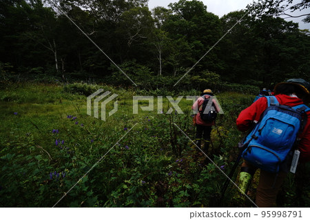 Gunma Prefecture Okutone Suigen no Mori Arrive at Hanasaki Wetland from Tashiro Marsh August 28, 2022 Gunma Prefecture Okutone Suigen no Mori Arrive at Hanasaki Wetland from Tashiro Marsh August 28, 2022 95998791