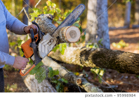 Man is cutting trees with chainsaw while clearing forest for construction of new house Man is cutting trees with chainsaw while clearing forest for construction of new house 95998984