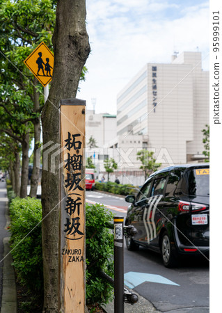 [Tokyo] Zakurozaka (Shinzaka) 95999101