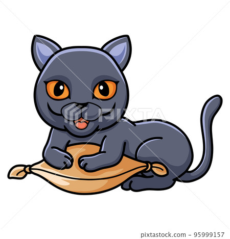 Cute british shorthair cat cartoon on the pillow 95999157