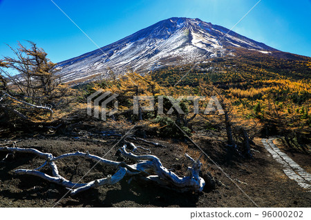 Scenery of Mt. Fuji 5th Station Okuniwa Nature Trail, Narusawa Village, Yamanashi Prefecture Scenery of Mt. Fuji 5th Station Okuniwa Nature Trail, Narusawa Village, Yamanashi Prefecture 96000202
