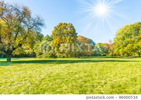 Green field lawn 96000538