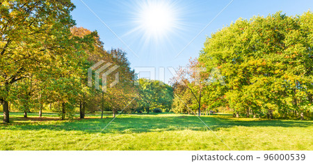 Green field lawn Green field lawn 96000539