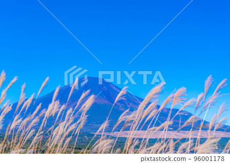 [Mt. Fuji material] Mt. Fuji and pampas grass seen from the sunny Yamanakako panorama platform [Yamanashi Prefecture] 96001178