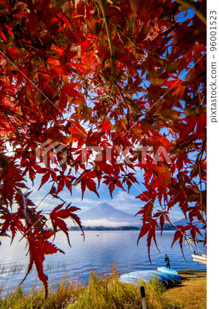 Mt. Fuji towering over Lake Kawaguchi in autumn colors Mt. Fuji towering over Lake Kawaguchi in autumn colors 96001523