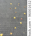 Fallen leaves spreading on the concrete like footprints 96001632