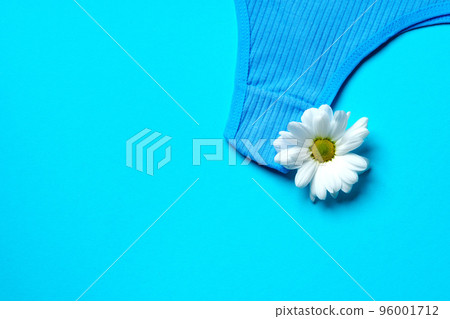 Women's panties with flower buds on paper background 96001712