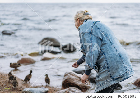 senior woman feeding wild ducks in gulf on summer day 96002695