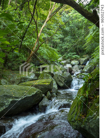 forest, stream, mountain spring, Taiwan, forest, small river, mountain spring, Taiwan, forest, stream, mountain s 96002743