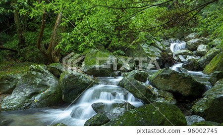 森林，溪流，山泉，臺灣，森、小川、山の泉、台湾、forest, stream, mountain s 96002745