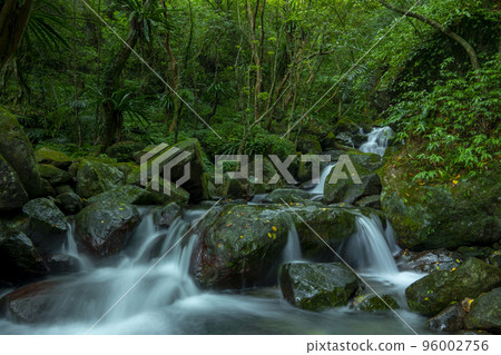 森林,溪流,山泉,臺灣,森、小川、山の泉、台湾、forest, stream, mountain s 森林,溪流,山泉,臺灣,森、小川、山の泉、台湾、forest, stream, mountain s 96002756
