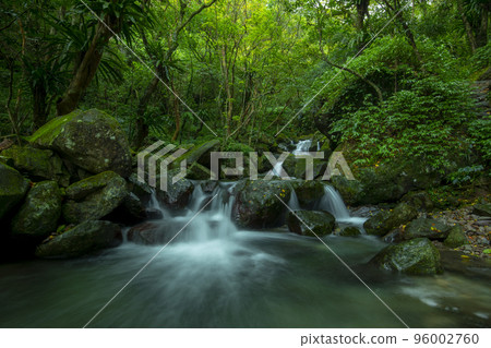 森林,溪流,山泉,臺灣,森、小川、山の泉、台湾、forest, stream, mountain s 森林,溪流,山泉,臺灣,森、小川、山の泉、台湾、forest, stream, mountain s 96002760
