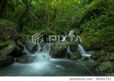森林,溪流,山泉,臺灣,森、小川、山の泉、台湾、forest, stream, mountain s 森林,溪流,山泉,臺灣,森、小川、山の泉、台湾、forest, stream, mountain s 96002761