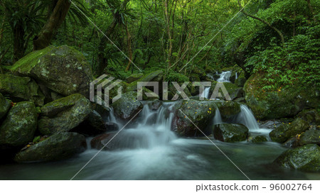 森林，溪流，山泉，臺灣，森、小川、山の泉、台湾、forest, stream, mountain s 96002764