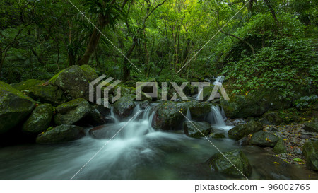 森林，溪流，山泉，臺灣，森、小川、山の泉、台湾、forest, stream, mountain s 96002765