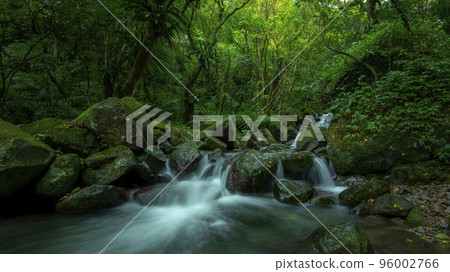 森林,溪流,山泉,臺灣,森、小川、山の泉、台湾、forest, stream, mountain s 森林,溪流,山泉,臺灣,森、小川、山の泉、台湾、forest, stream, mountain s 96002766